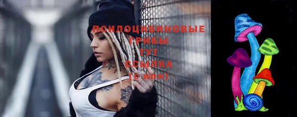 ешки Краснослободск